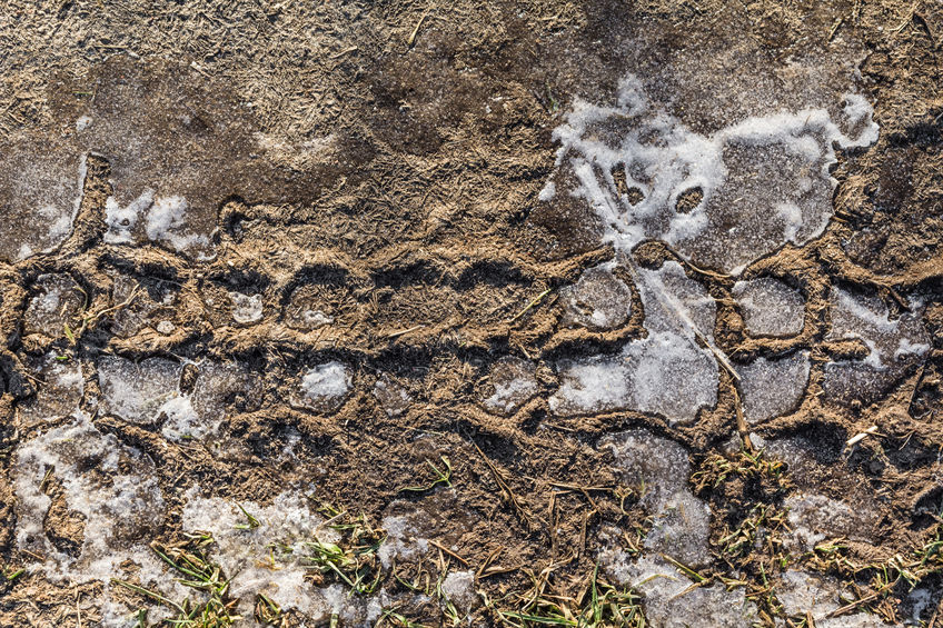 Lavorazioni del terreno: quali sono i meccanismi coinvolti nell’alternanza gelo/disgelo ?