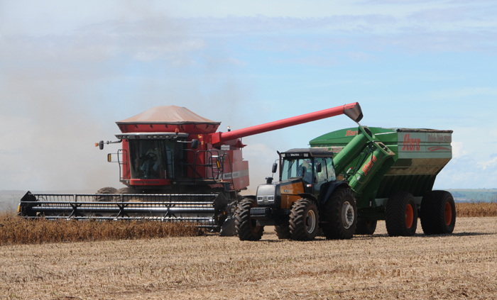 Brasile: iniziate le raccolte della soia di primo raccolto