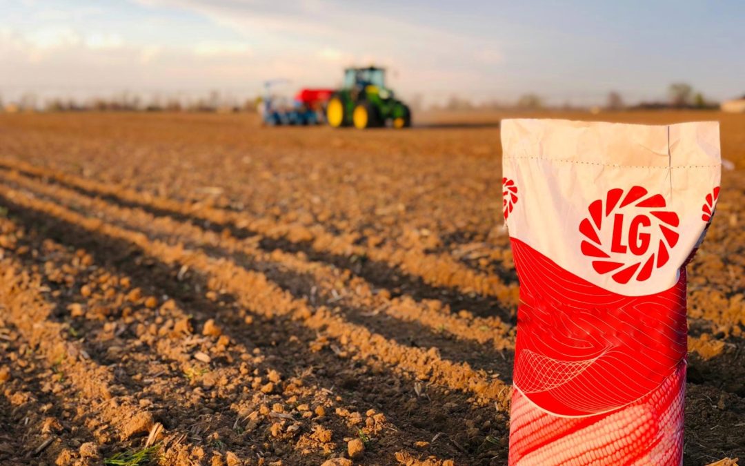 Semine precoci, fra rischi e opportunità