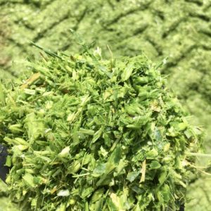 Soluzioni per Biomassa