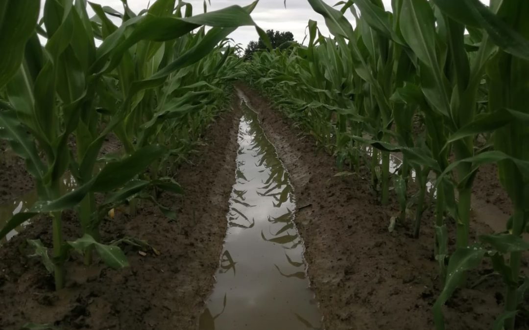 Il lungo inverno secco