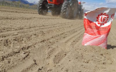 Mais ai blocchetti di partenza: l’incognita piogge